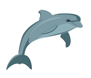 Dolphin clipart