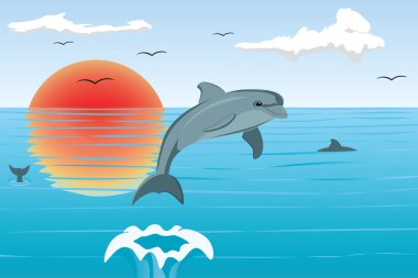 Dolphins clipart