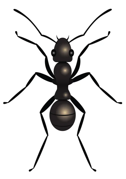 stock vector Ant top view