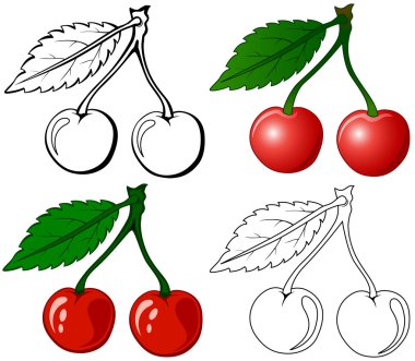 Cherry clipart