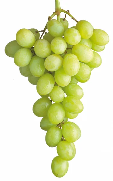 Kiść winogron na białym tle biały z clippimg ścieżka — Zdjęcie stockowe