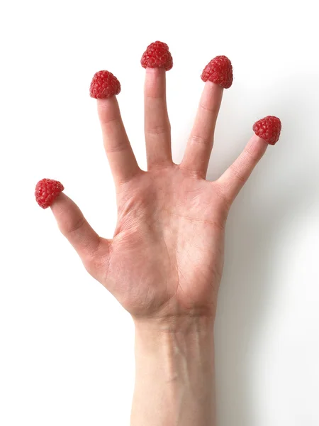 Hand with raspberries on all the fingers 1 — Stock Photo, Image