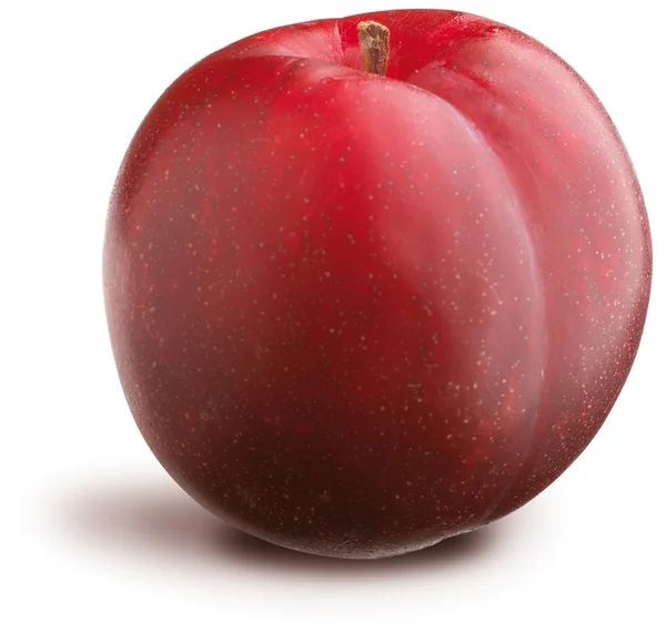 Juicy plum isolated on a white background — Stock Photo, Image