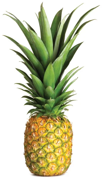 Beyaz arkaplanda izole edilmiş ananas