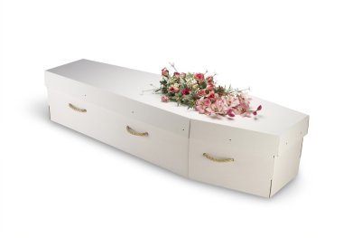 Cardboard bio-degradable eco coffin isolated on white with clipp clipart