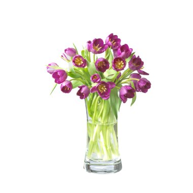 Beautifil tulips flowers in a vase isolated on white with clipp clipart