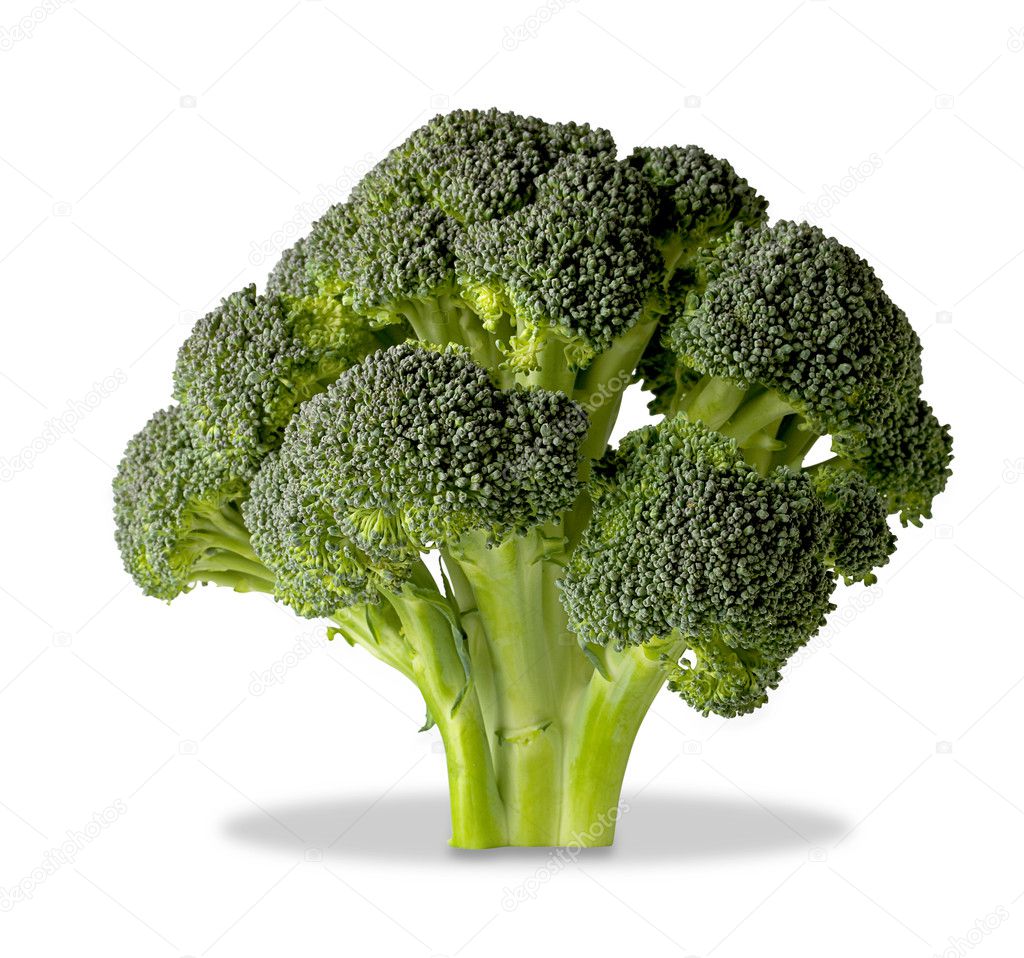 Brocolli tree isolated on white with clipping path