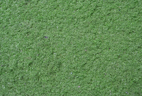Erba verde artificiale — Foto Stock
