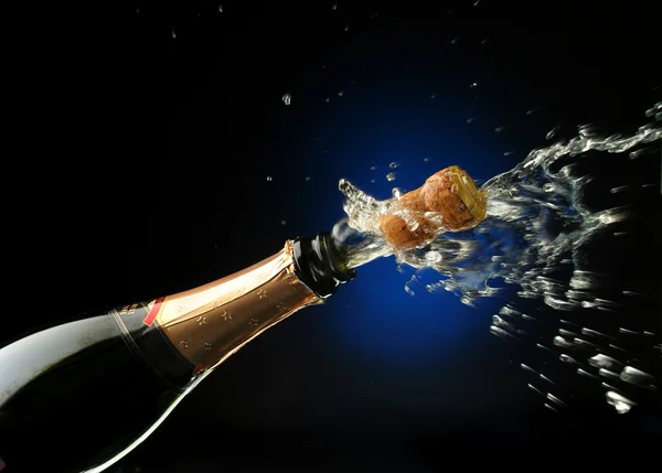 Botella de champán lista para la celebración —  Fotos de Stock