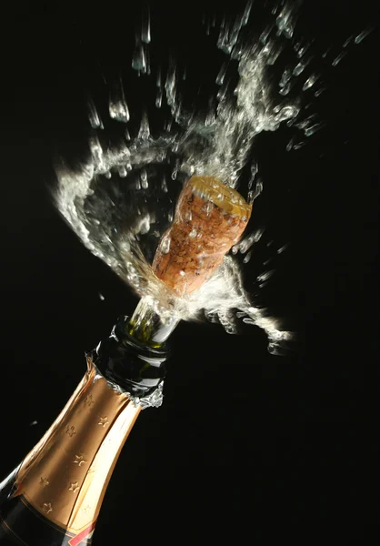 Bouteille de champagne prête pour la célébration — Photo