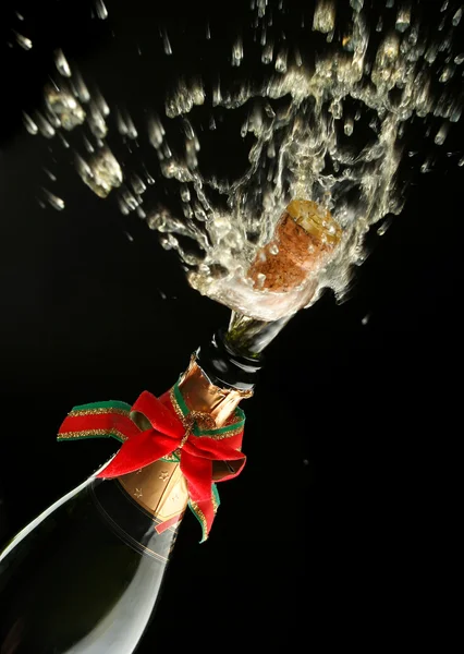 Garrafa de champanhe pronta para celebração — Fotografia de Stock