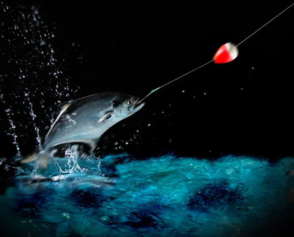 stock image Catching a big fish at night