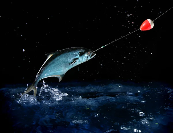 Pegando um peixe grande à noite — Fotografia de Stock