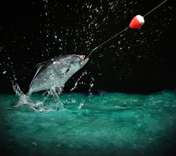 Stock image Catching a big fish at night