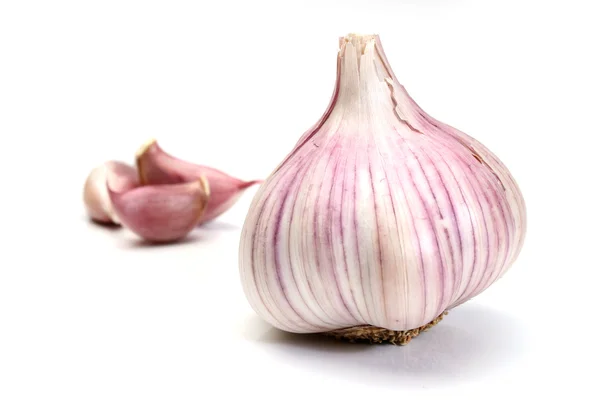 Garlic over a white background — Stock Photo, Image