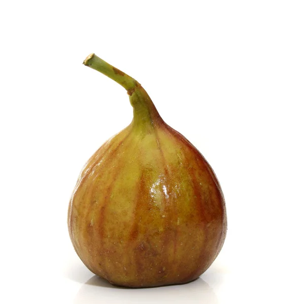 Heerlijke fig geïsoleerd — Stockfoto