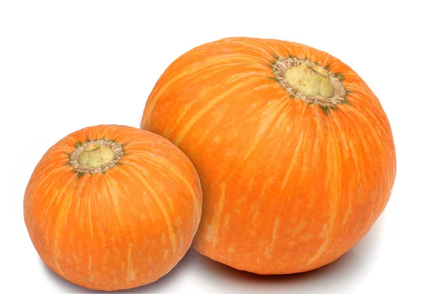 Paar van Pumpkin geïsoleerd op een witte achtergrond — Stockfoto