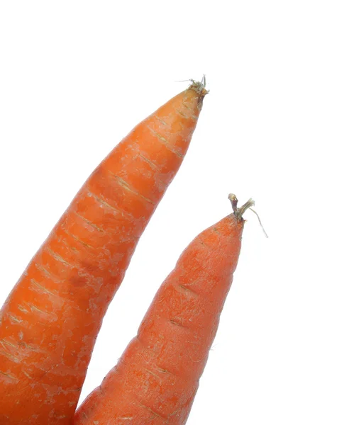 Duas cenouras — Fotografia de Stock
