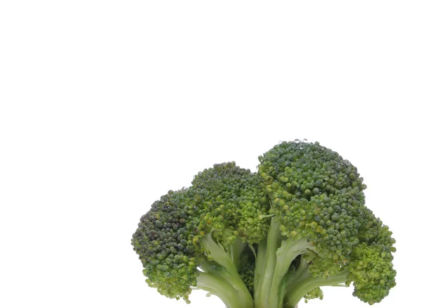 Broccoli primo piano che sembra un albero — Foto Stock
