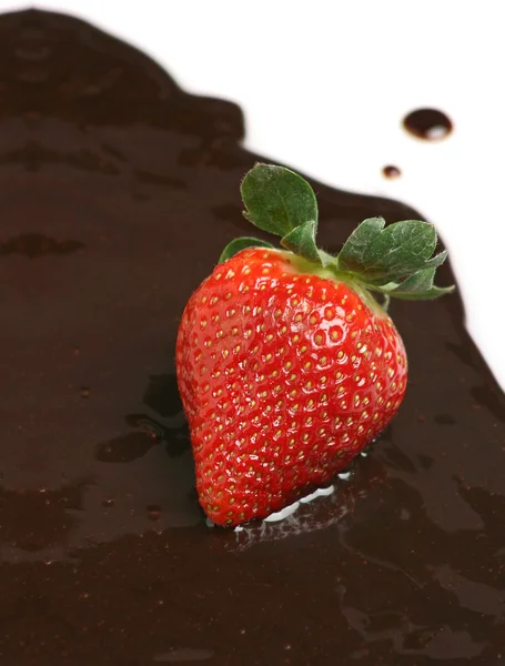 Strawberry over chocolate sauce — Stock Photo, Image