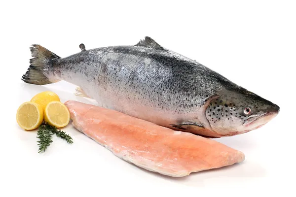 Grande peixe de salmão e um filete isolado no branco — Fotografia de Stock