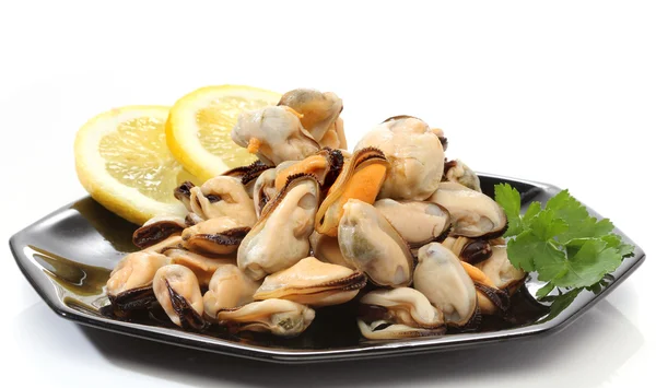 stock image Pile of raw mussels over white