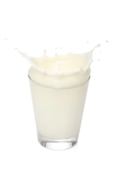 Splá de leite em um copo, sobre fundo branco — Fotografia de Stock