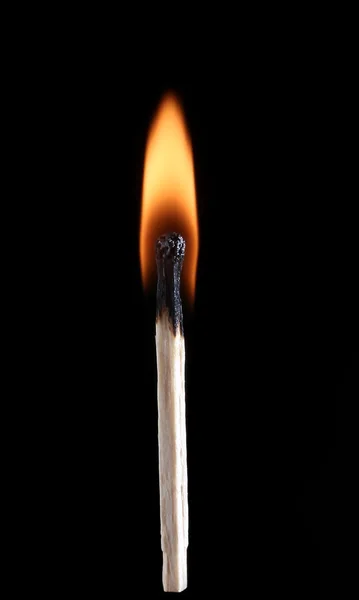 stock image Burning match on black background