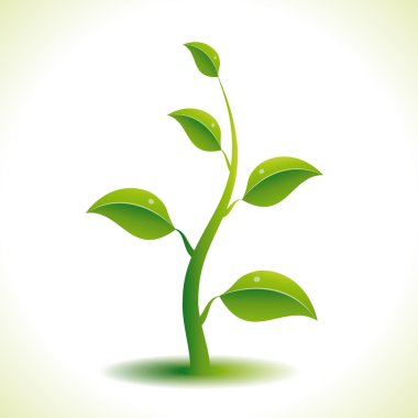 Vector green plant. clipart