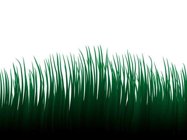 Vektorgräs — Stock vektor