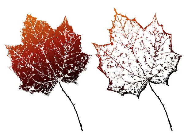 Векторне гранжеве осіннє листя . — стоковий вектор