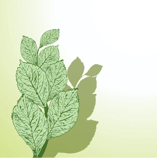 Grunge feuilles . — Image vectorielle