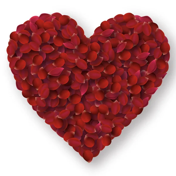 Сердце из лепестков роз — стоковый вектор