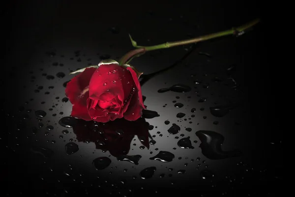 검은 대리석에 빨간 장미 — 스톡 사진