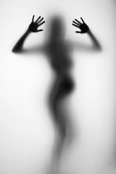 Femme enceinte silhouette derrière un rideau — Photo