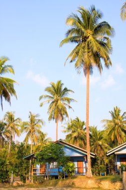 plaj bungalov, Tayland .