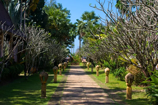 Promenader spår i en tropisk trädgård — Stockfoto