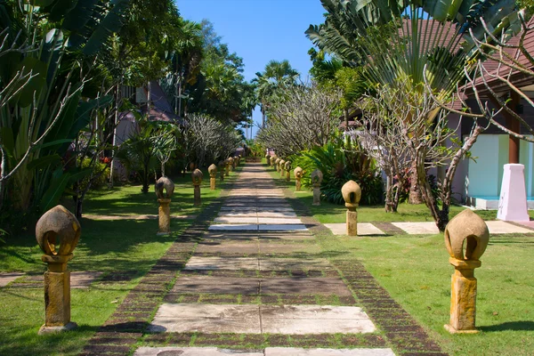 Trilha de passeio em um jardim tropical — Fotografia de Stock