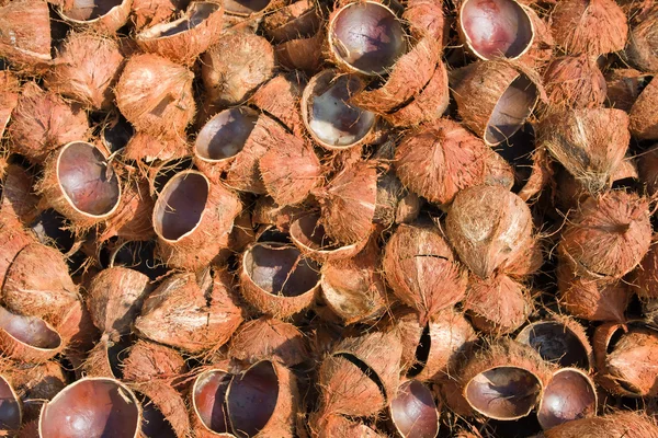 Купка викинутих кокосових лушпинь — стокове фото