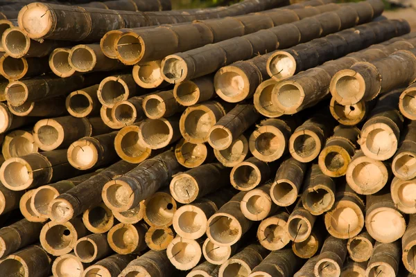 Bamboe staven buitenshuis — Stockfoto