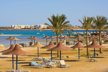 Beach in Egypt clipart