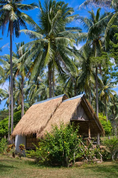 Тропічні пляжі будинку — стокове фото