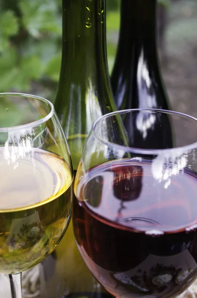 Rött vin och vitt vin — Stockfoto