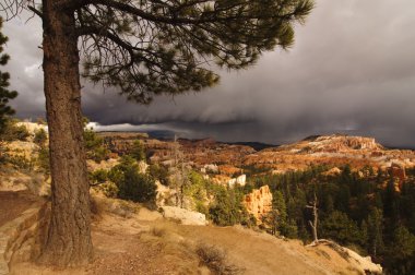 Bryce Canyon, Utah