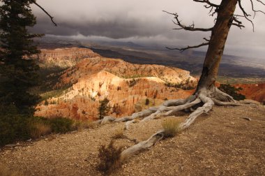 Bryce Canyon, Utah