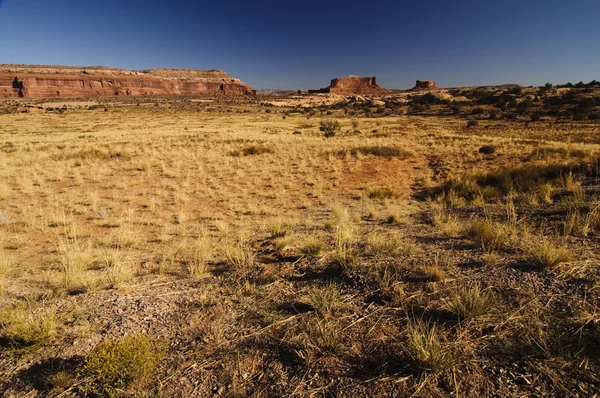 Utah landscape — Stock Photo, Image