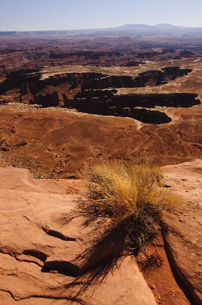 stock image Canyonlands National Park