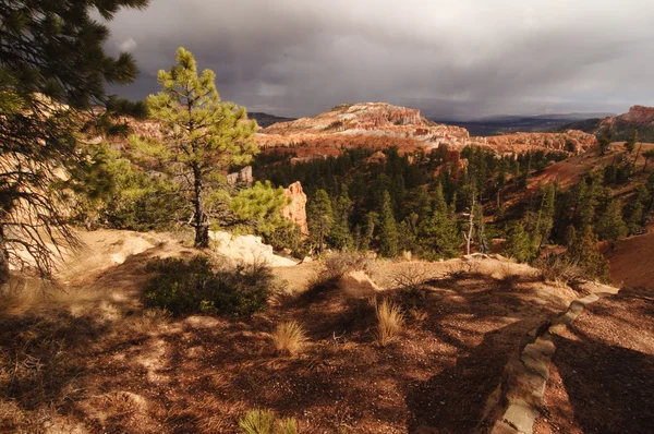 Bryce Canyon (Utah) Rechtenvrije Stockfoto's