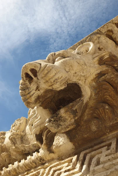 stock image Head of lion in the roman ruins of Baalbek