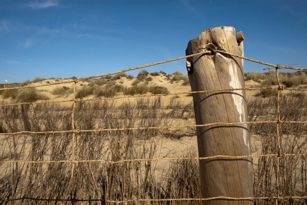 Protection fence on a Doñana beach — Stockfoto